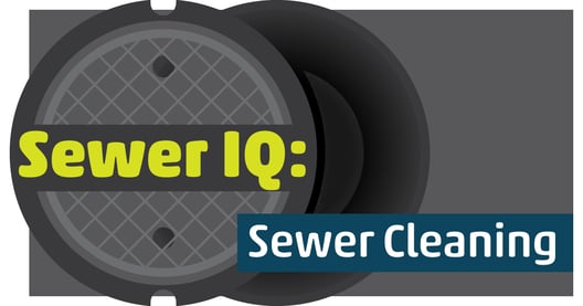 Play Sewer IQ: Cleaning Edition